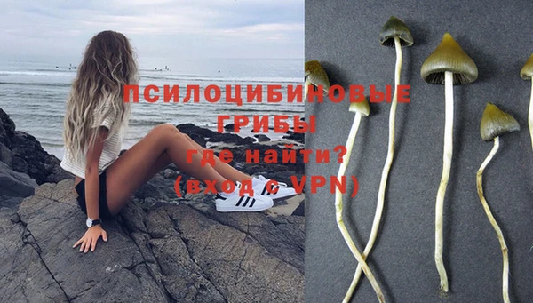 ешки Алексин
